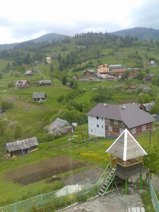 Vila Kolo Druziv Slavske Exteriér fotografie